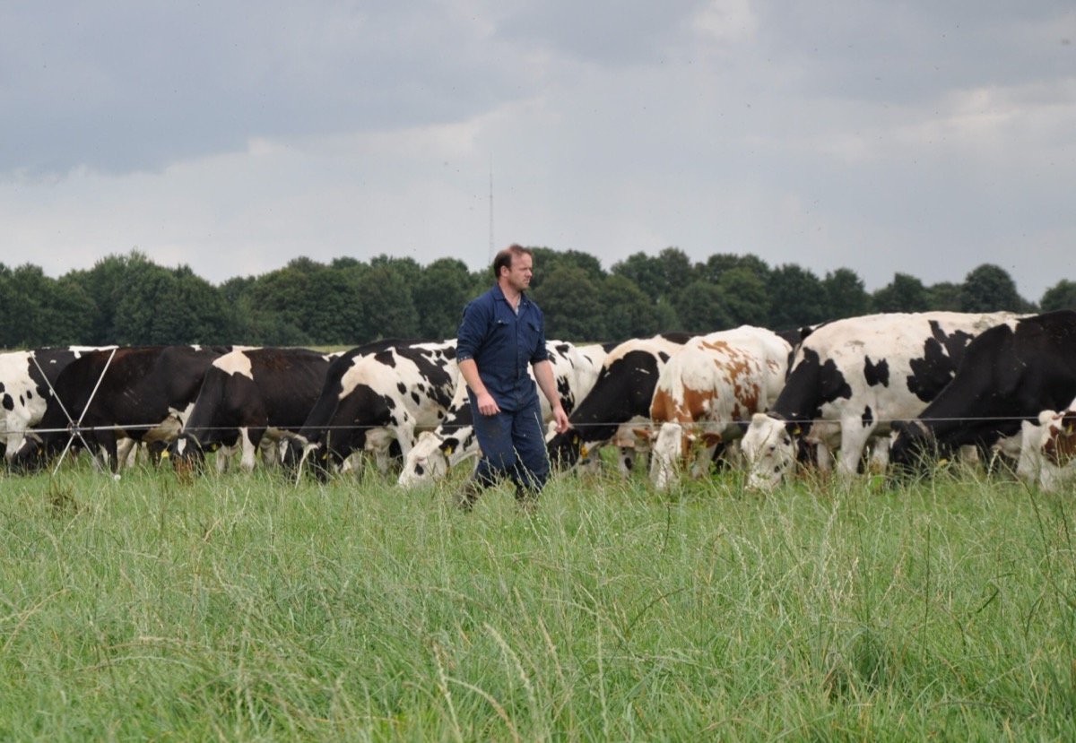 Electric Fence Online case study