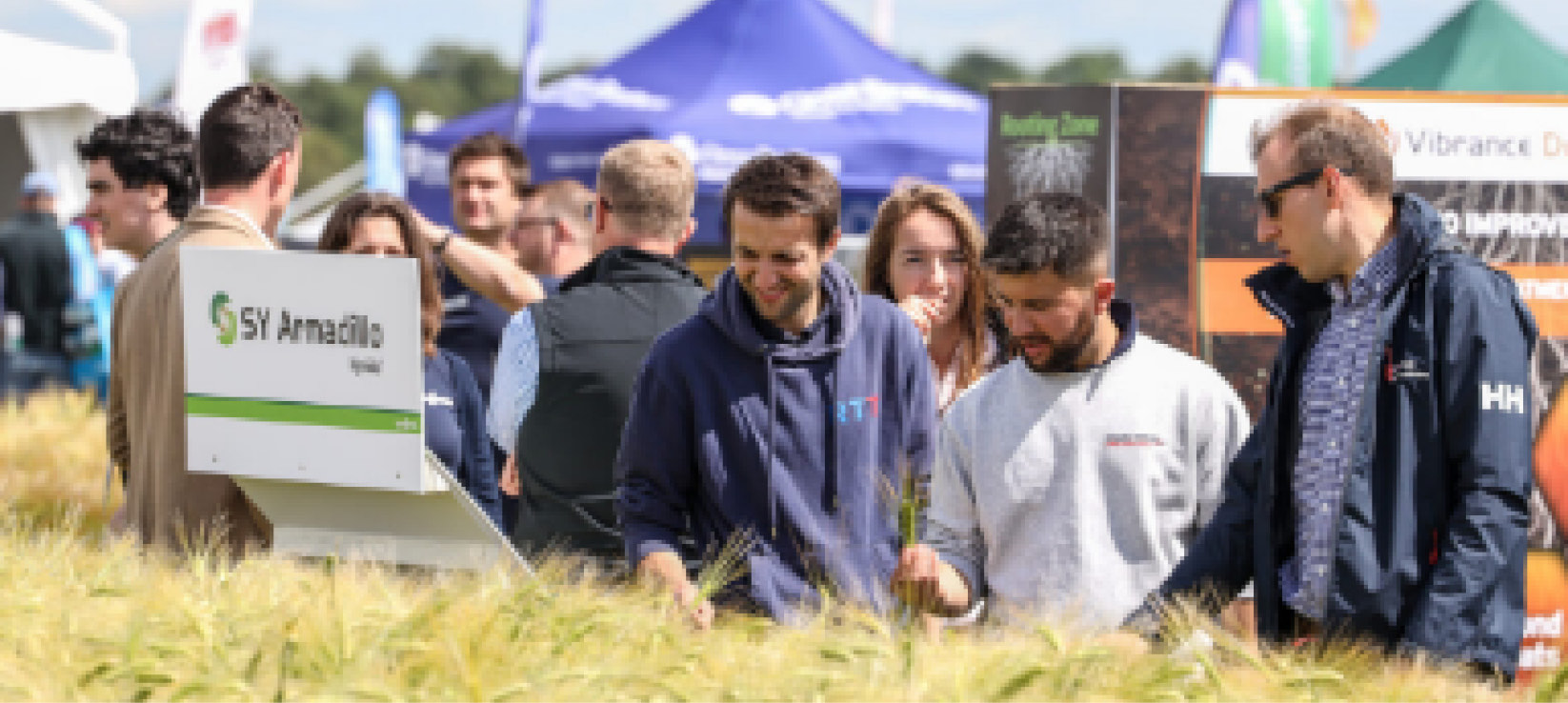 Cereals case study